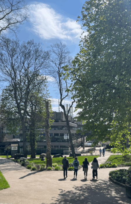 Standing With Our Trans Students With Pride